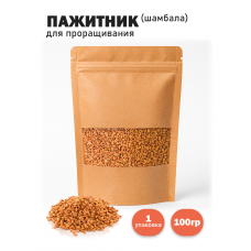 Пажитник (Шамбала) для проращивания, сыроедческий нешлифованный 100 гр. Пажитник (Шамбала) для проращивания, сыроедческий нешлифованный 100 гр.