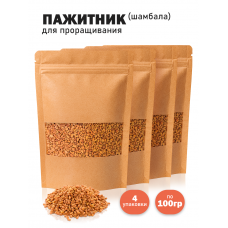 Пажитник (Шамбала) для проращивания, сыроедческий нешлифованный 100 гр. - 4шт Пажитник (Шамбала) для проращивания, сыроедческий нешлифованный 100 гр. - 4шт