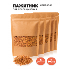 Пажитник (Шамбала) для проращивания, сыроедческий нешлифованный 100 гр. - 5 шт Пажитник (Шамбала) для проращивания, сыроедческий нешлифованный 100 гр. - 5 шт
