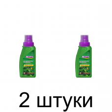 Удобрение для декор.-лиственных BONA FORTE ЗДОРОВЬЕ (285мл) -2шт