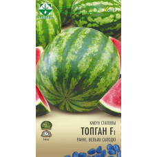 Семена арбуза Топгана F1 6шт (Эксперт)