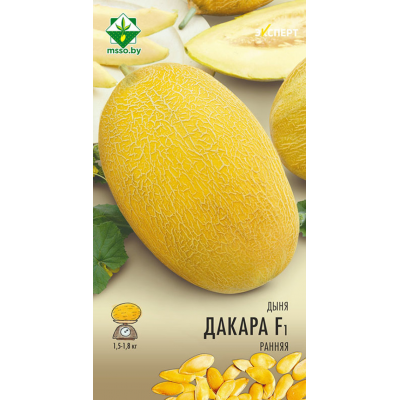 Семена дыни Дакара F1 5шт (Эксперт)