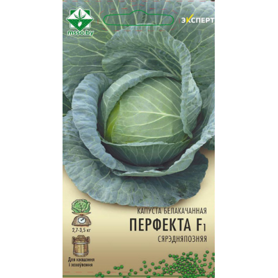 Семена капусты б/к Перфекты F1 12шт (Эксперт)