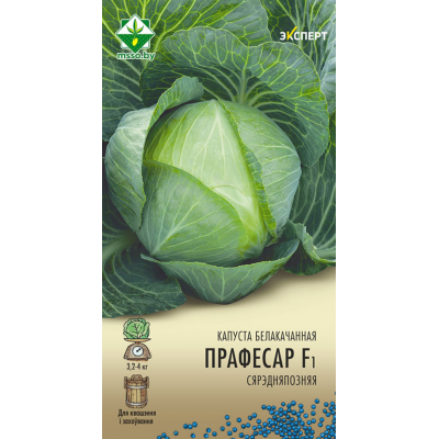 Семена капусты б/к Профессора F1 12шт (Эксперт)