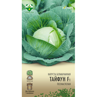 Семена капусты б/к Тайфуна F1 12шт (Эксперт)