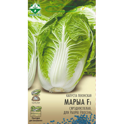 Семена капусты пекинской Маррио F1 12шт (Эксперт)