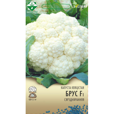 Семена капусты цветной Брюса F1 12шт (Эксперт)