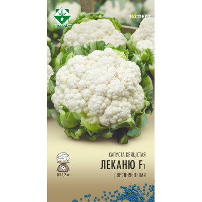 Капуста цветная Леканю F1 12шт (Эксперт)