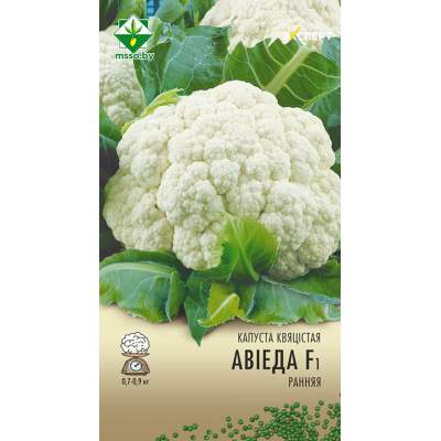 Семена капусты цветной Овиедо F1 12шт (Эксперт)