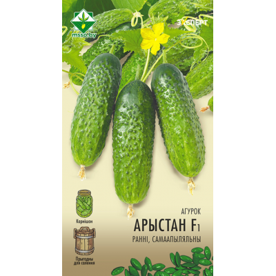 Семена огурца Аристана F1 10шт (Эксперт)