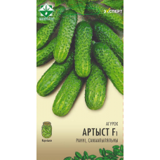 Семена огурца Артиста F1 10шт (Эксперт)