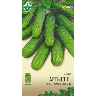 Семена огурца Артиста F1 10шт (Эксперт)