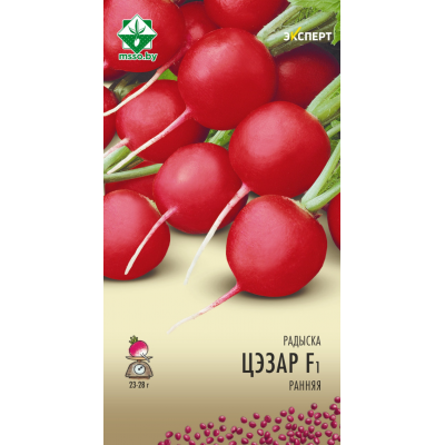 Семена редиса Цезаря F1 1г (Эксперт)