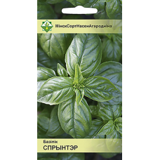 Базилик Спринтер 0,3г (Galassi Sementi, Италия)