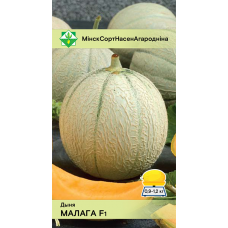 Дыня Малага F1 6шт