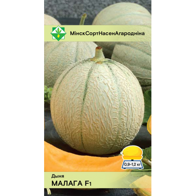 Дыня Малага F1 6шт