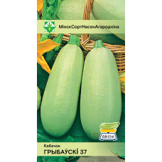 Семена кабачка Грибовского 37 2г
