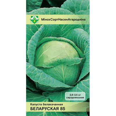 Семена капусты б/к Белорусской 85 0.5г