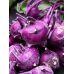 Капуста кольраби Венская голубая 0,5г (Satimex, Германия)