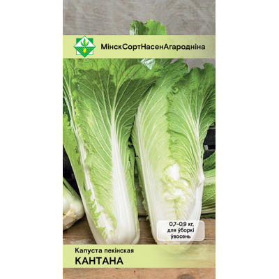 Семена капусты пекинской Кантона 0.5г