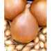 Лук Стурон полуострый, семена - 0,5г (Satimex - МинскСортСемОвощ)