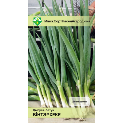 Семена Лук-батун Винтерхеке 0.5г