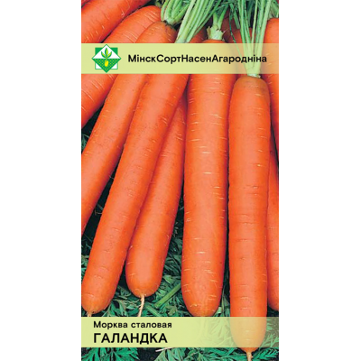 Семена моркови Голландки столовой 1г