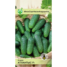 Огурец Атлантис F1, 10 семян (Bejo Zaden, МССО)