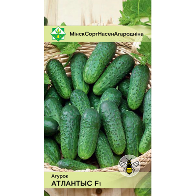 Огурец Атлантис F1, 10 семян (Bejo Zaden, МССО)