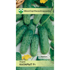 Огурец белорусской селекции Колорит F1 0,5г (Институт овощеводства НАН)