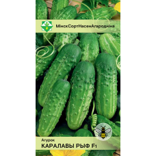 Огурец белорусской селекции Коралловый риф F1 0,6г (Институт овощеводства НАН)