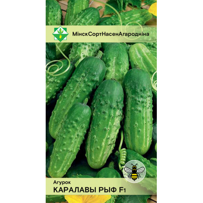 Огурец белорусской селекции Коралловый риф F1 0,6г (Институт овощеводства НАН)