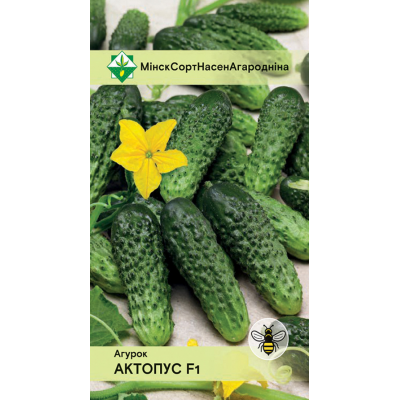 Семена огурца Октопуса F1 10шт