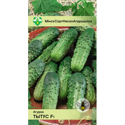 Семена огурца Тытуса F1 0.6г