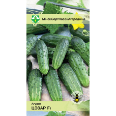 Семена огурца Цезаря F1 0.6г