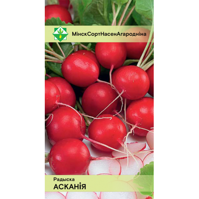 Семена редиса Аскании 2г