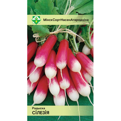 Семена редиса Силезии 2г