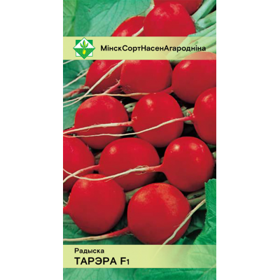 Семена редиса Тореро F1 1г