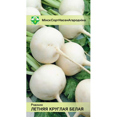 Семена редьки Летней круглой белой 2г