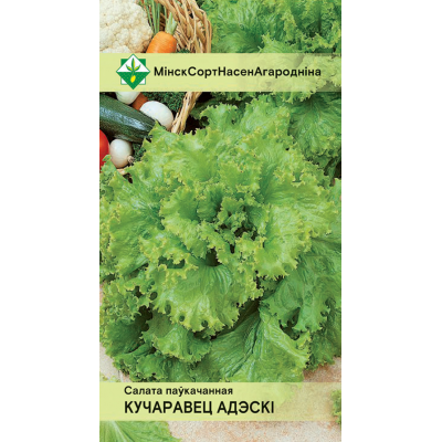 Семена салата Кучерявца Одесского полукочанного 0.5г