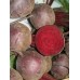 Свекла столовая Бордо 237, 3г (Satimex, Германия)