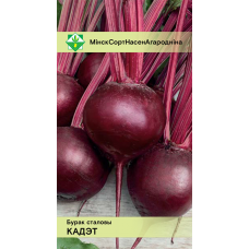 Семена свеклы Кадета столовой 2г