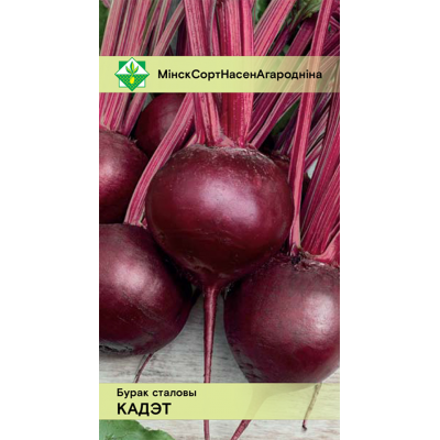 Семена свеклы Кадета столовой 2г