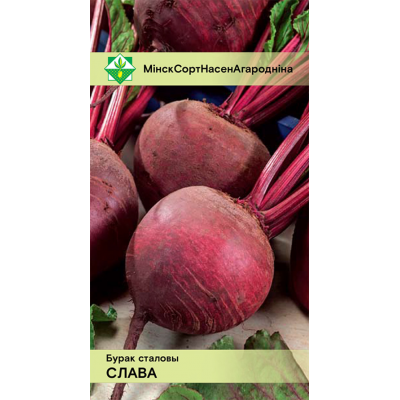 Семена свеклы Славы столовой* 2г