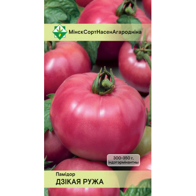 Томат розовый Дикая роза, 15 семян (селекция Россия, Ростов-на-Дону)