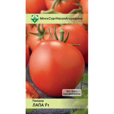 Томат белорусской селекции Лапа F1* (Институт овощеводства НАН)