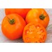 Томат белорусской селекции Оранж 1*, 20 семян (Институт овощеводства)