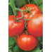 Томат белорусской селекции Ритм F1*, 15 семян (БГСХА, МССО)