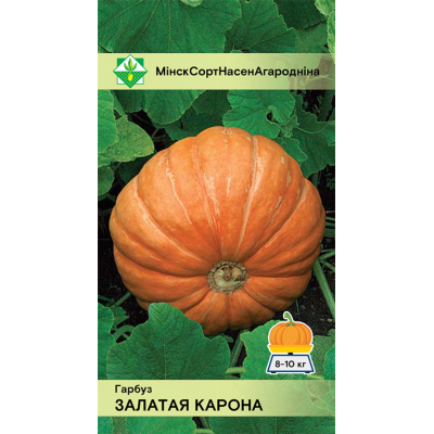 Семена тыквы Золотой короны 10шт