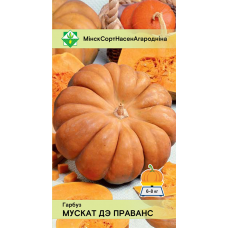 Семена тыквы Мускат де Прованс 5шт